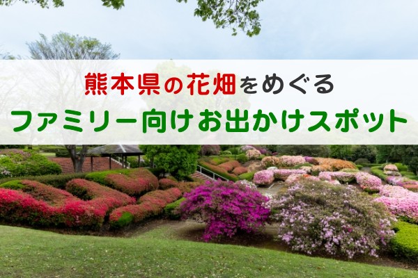 熊本県の花畑をめぐるファミリー向けお出かけスポット